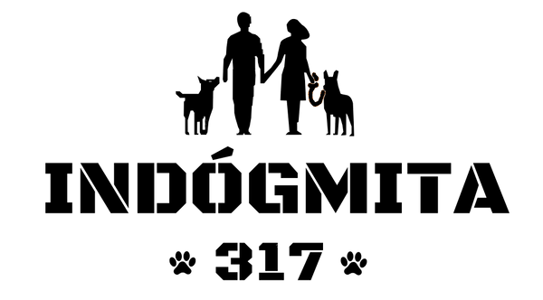 Indógmita