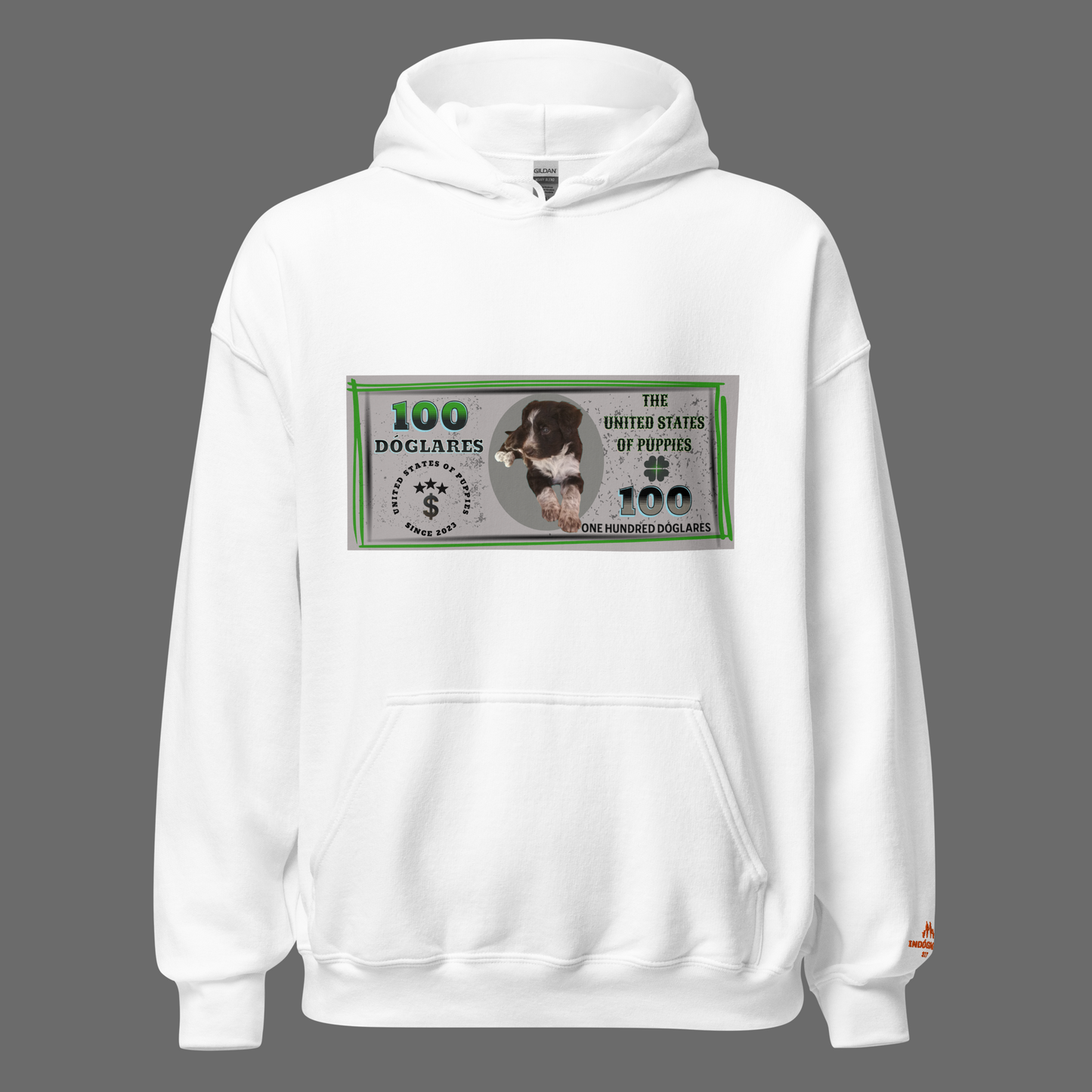 100 Doglares: ¡Una Moneda Llena de Amor Perruno!